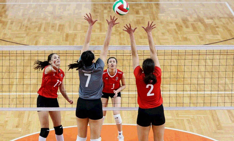 LVM 2026: 36 đội, 60 trận, 15 ngày và một mô hình truyền thông tự dựng sân chơi