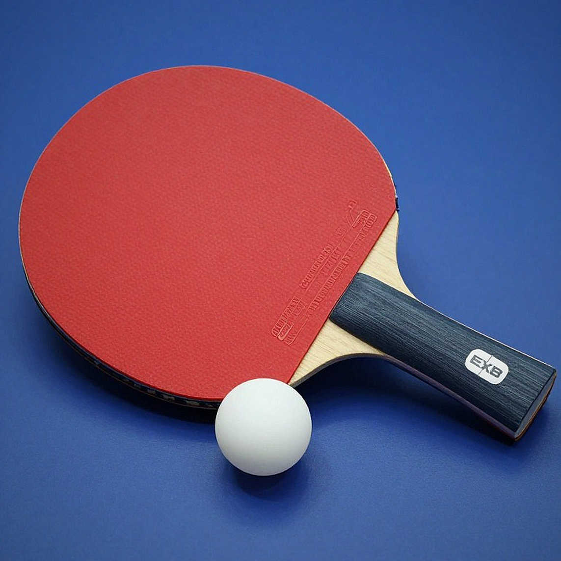 LAINE and PINTO claim U21 titles at Belgium Open 2026: When two trophies tell only part of the story LAINE and PINTO claim U21 titles at Belgium Open 2026: When two trophies tell only part of the story